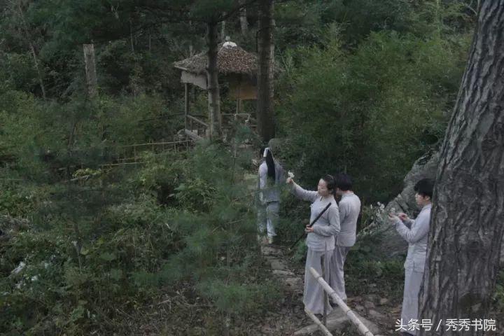 茶道养生全集视频,茶道养生课视频