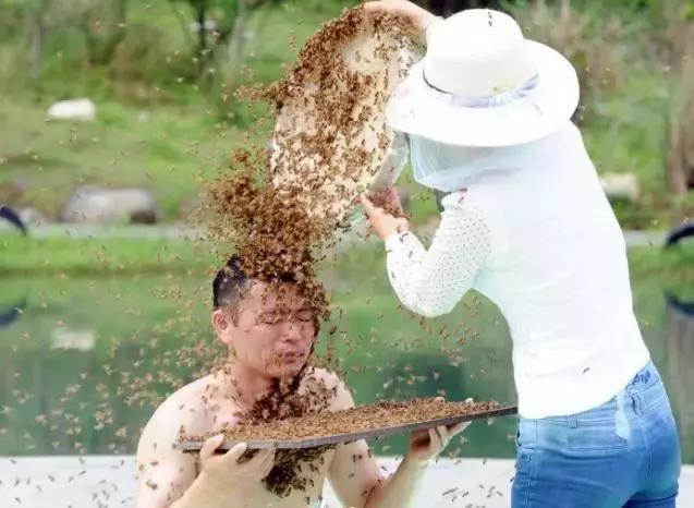 孕妇拥数万蜜蜂拍照被叮3下胎死腹中，老蜂农这样解释