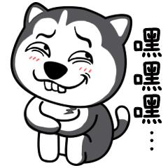 如何正确的使用肌酸,肌酸的正确使用方法和技巧