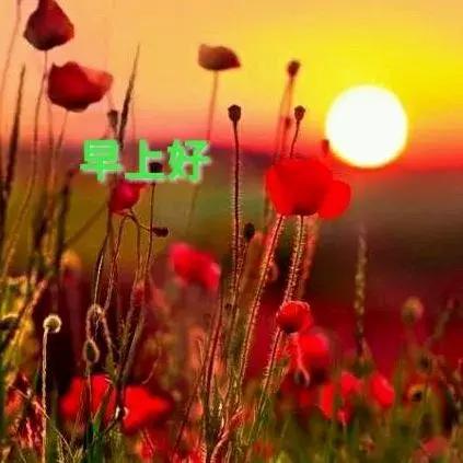早上好问候语暖心吉祥表情图片,早上问候语早上好图片大全