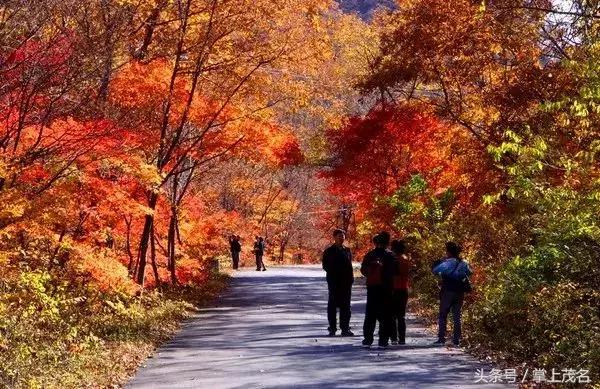 茂名最惊艳的城市,茂名城市美景