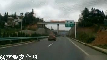 高速撞到动物有什么忌讳,高速行车遇动物怎么办