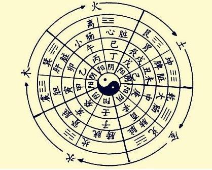 根据出生时间推算人的体质,出生月份与体质的关系