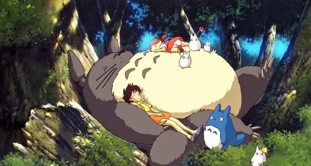 龙猫喂养最好的方法,龙猫喂养的正确方式