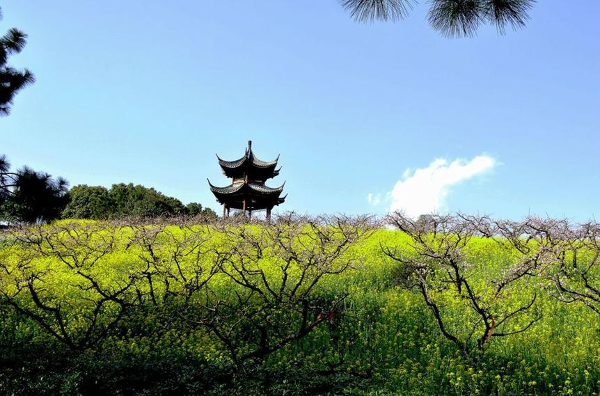 长兴依山傍水的农家小院,浙江长兴依山傍水民宿