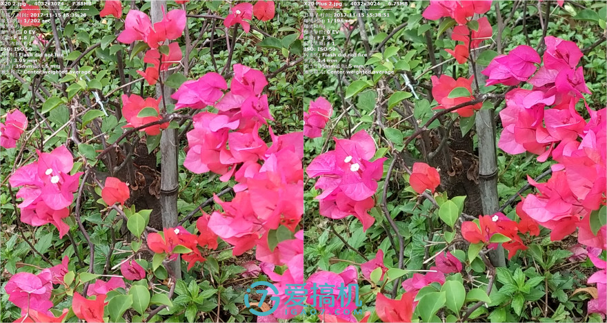 vivox20手机年度最佳拍照,vivox20柔光双摄测试