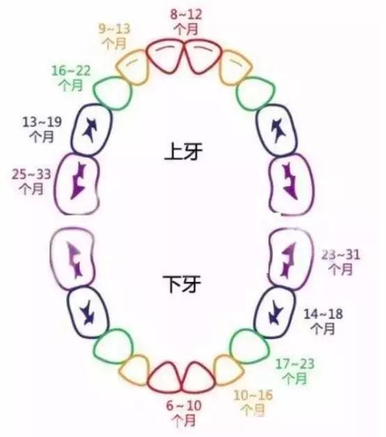 宝宝乳牙龋齿严重用拔牙不,孩子乳牙龋齿有必要补牙吗