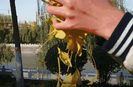 索尼xperia5iii评测视频,索尼xperiaxz1黑科技