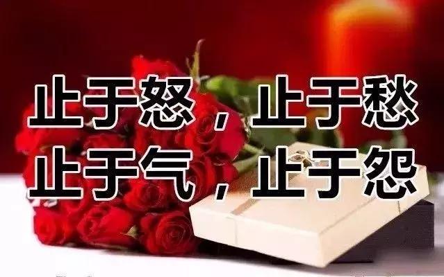 我的相册视频,十寸相册