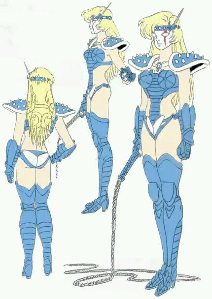 最没存在感的圣斗士星座排行,圣斗士88星座里的四个特殊星座