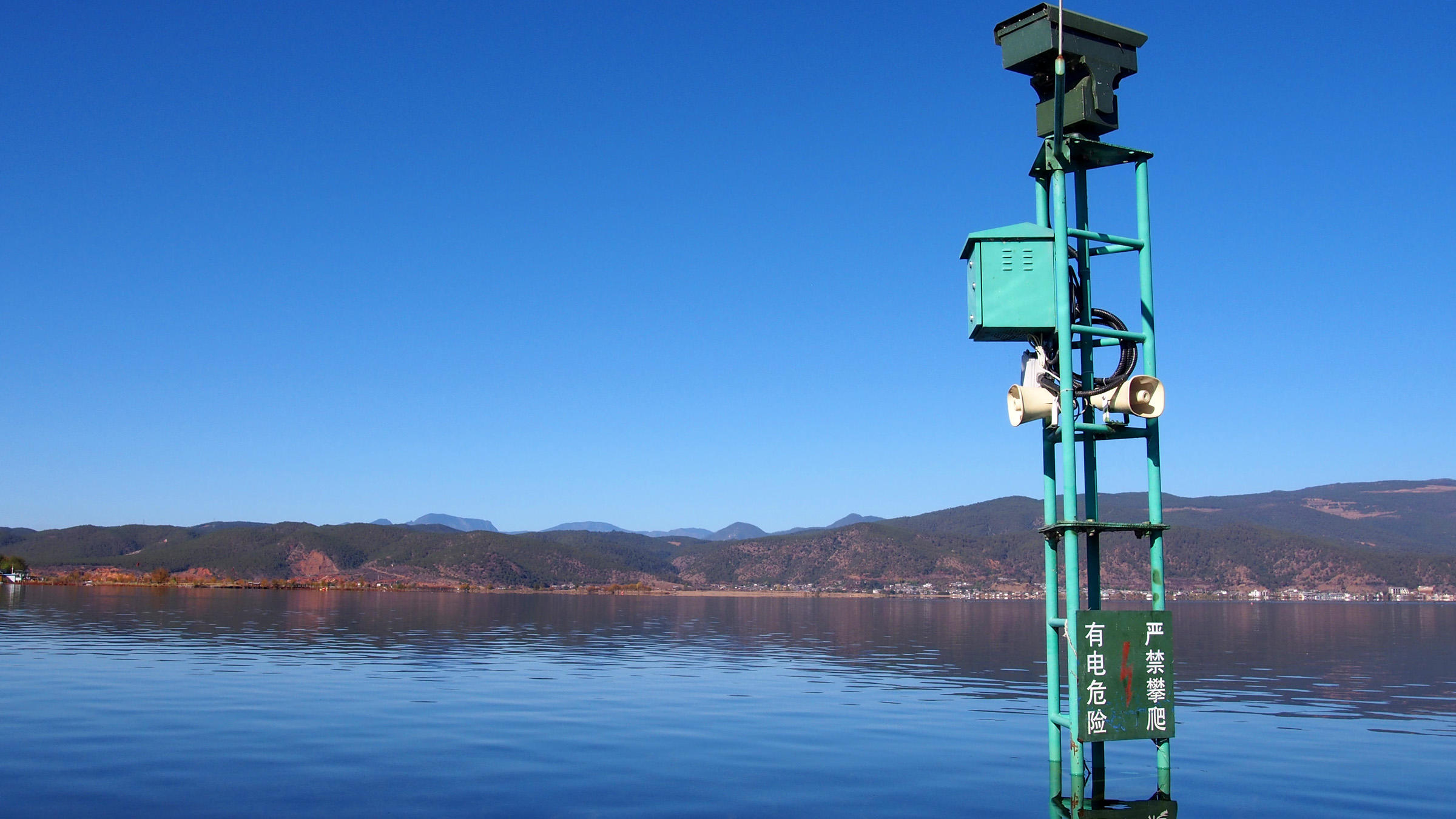 水至清则无鱼游泳,水至清则无鱼但是还是有很多鱼