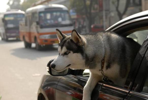搞笑小明更新视频,最近很火的搞笑小明