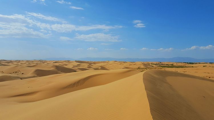 恩格贝沙漠自驾游,走进原始森林房车游记