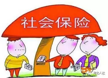 2016到2020社会保险基金收入增长率,2020年社会保险有什么变化