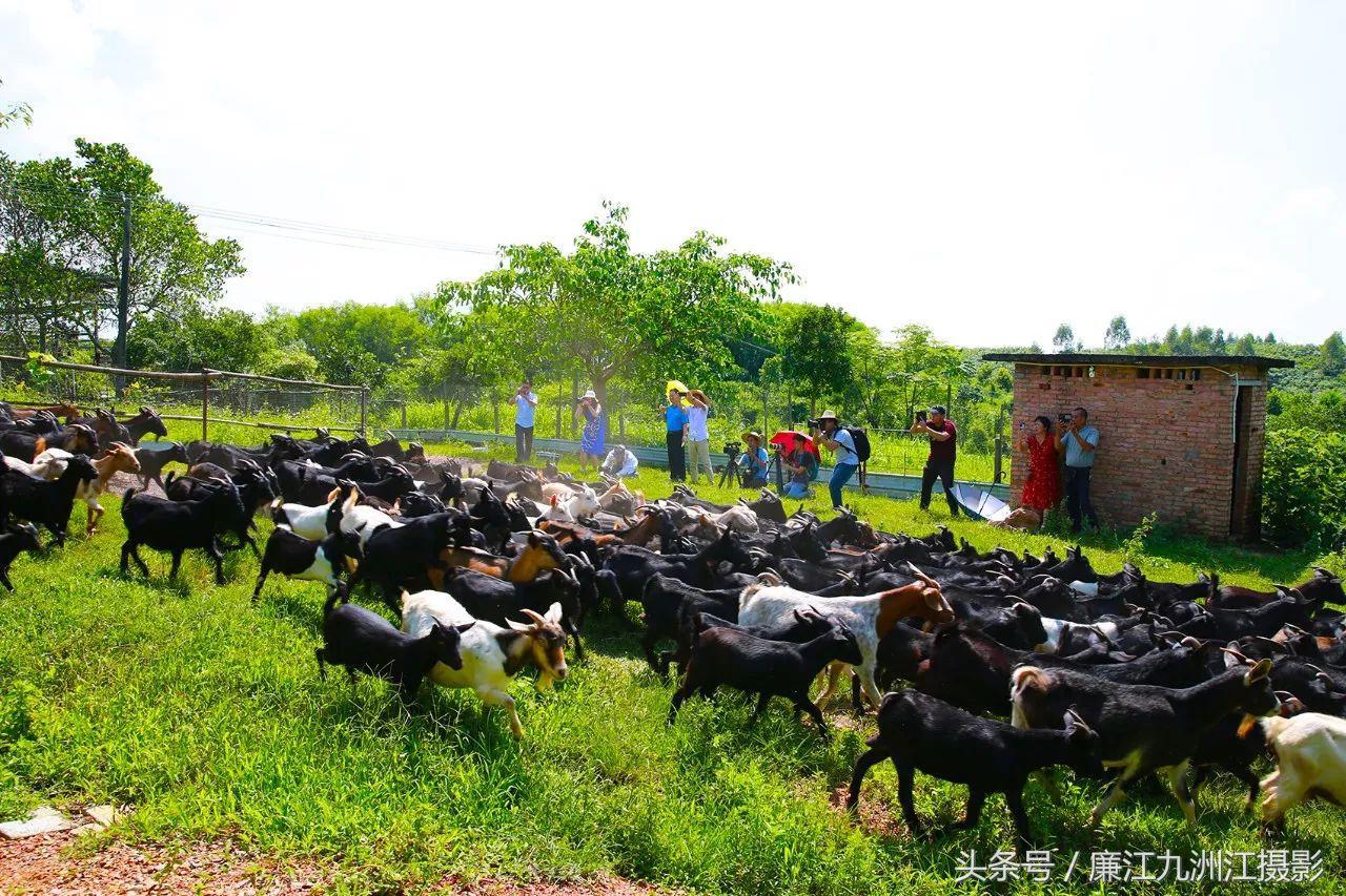 听说你那边下雪了原视频,听说你那里下雪了