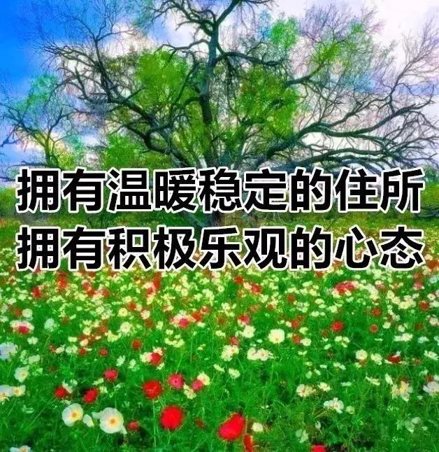 我的相册视频,十寸相册
