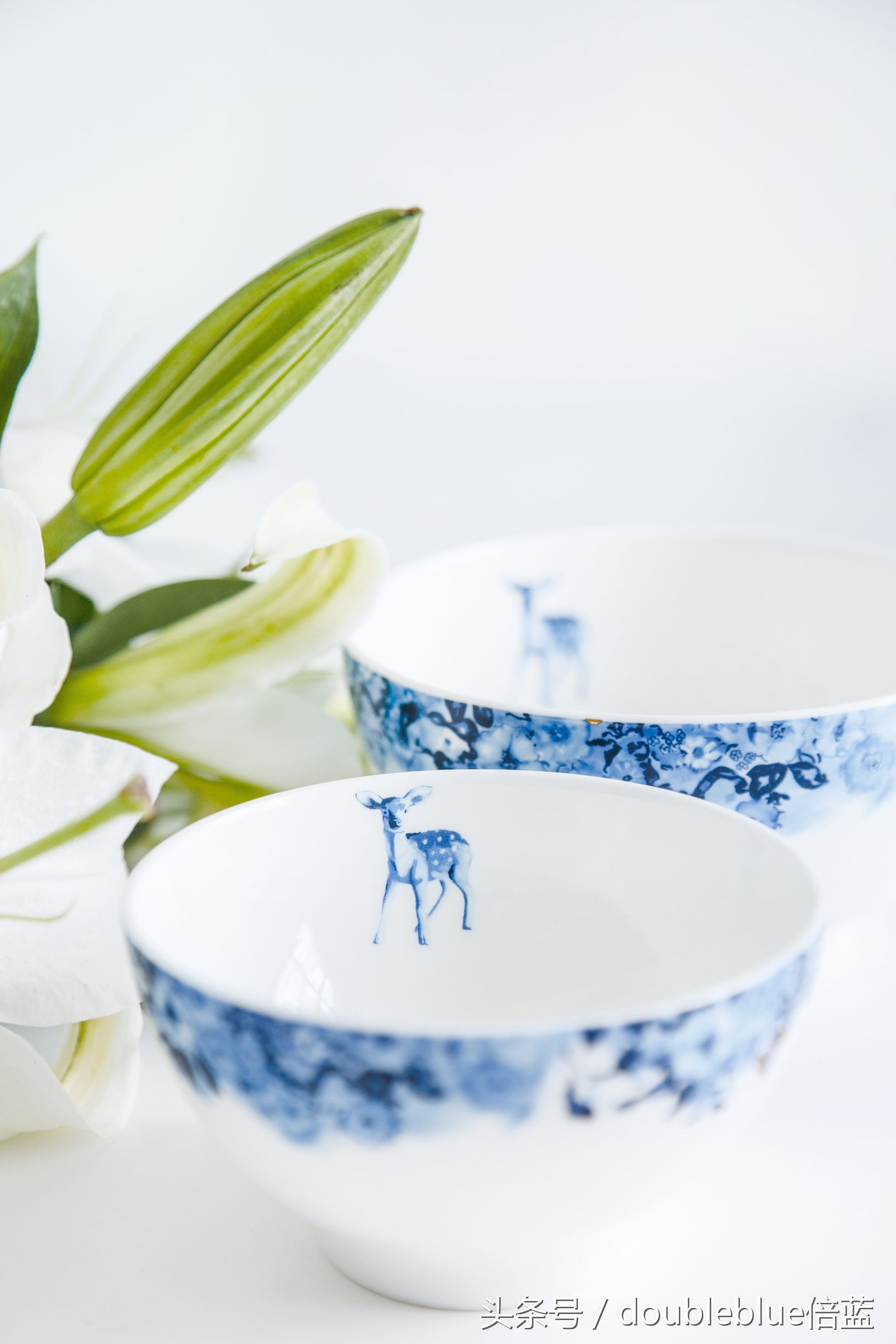 怎样辨别骨瓷筷子真假,如何辨别好的骨瓷餐具