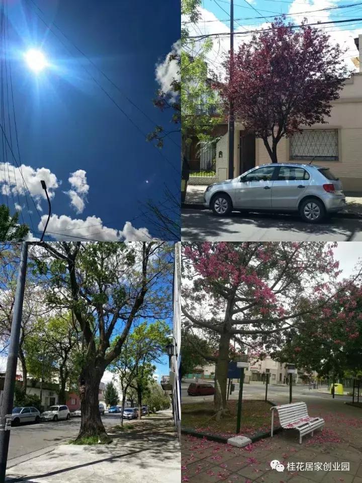 为什么会季节性的花粉过敏,花粉季节性过敏怎么治