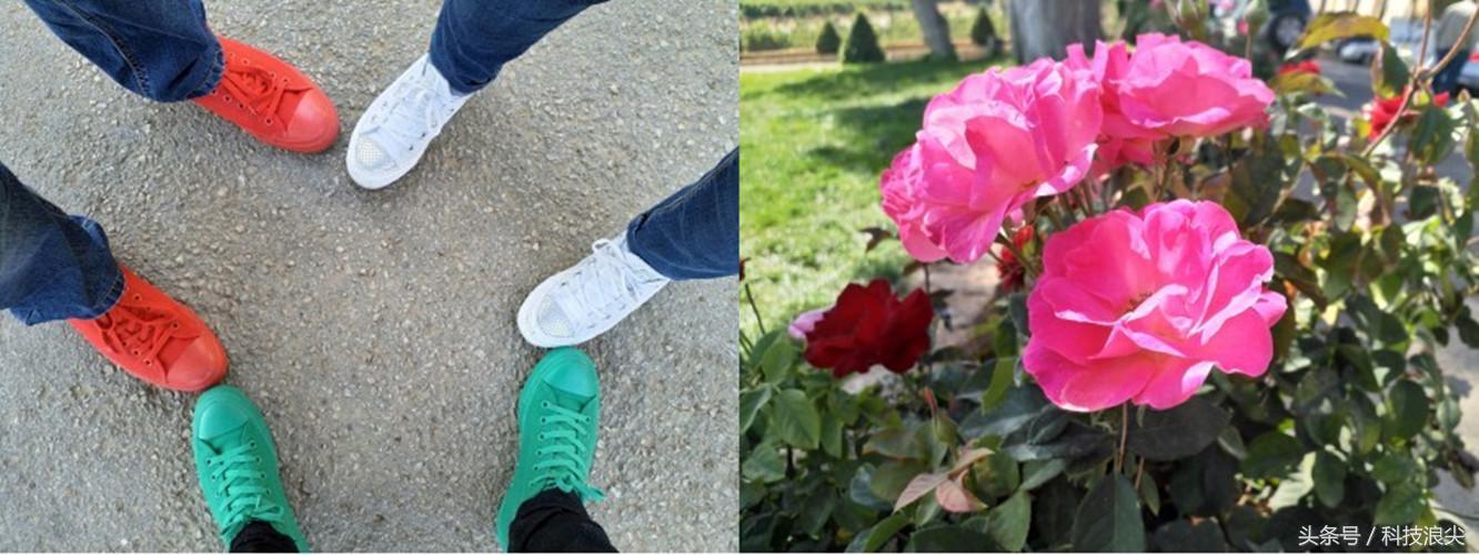 诺基亚8.3评分,诺基亚8208评测视频