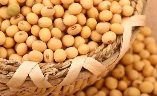 超市里卖的牛奶哪种最好,超市买的豆奶粉哪种好