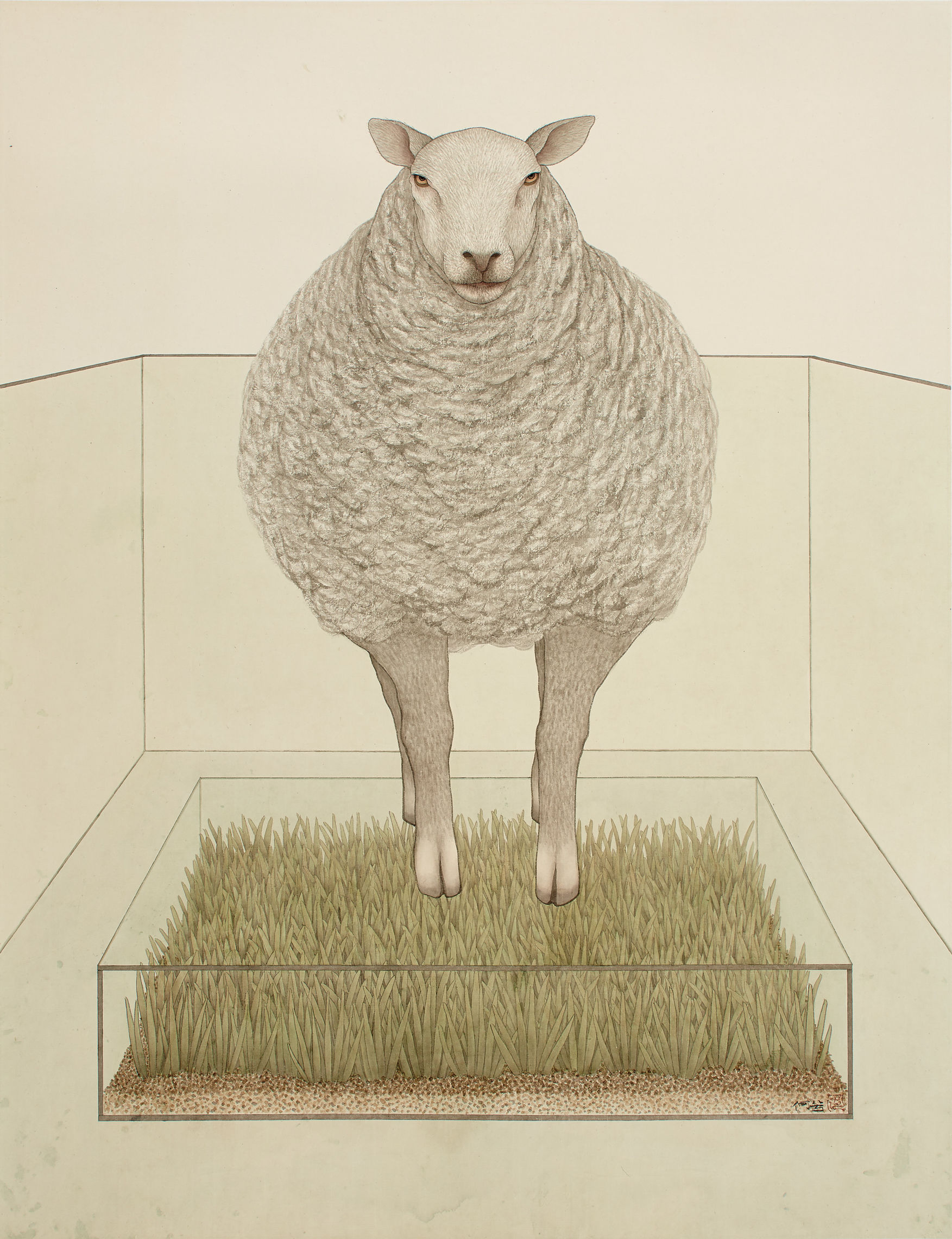 何曦救人,何曦照片