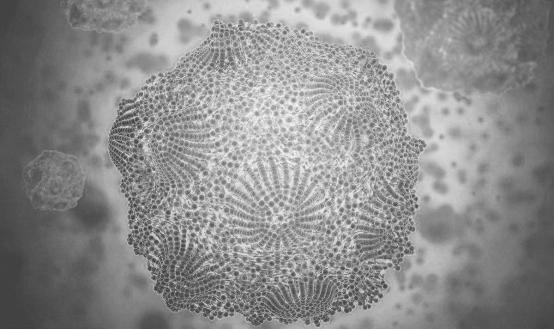 狗狗体外驱虫导致拉稀便血,狗狗如果拉稀了怎么办