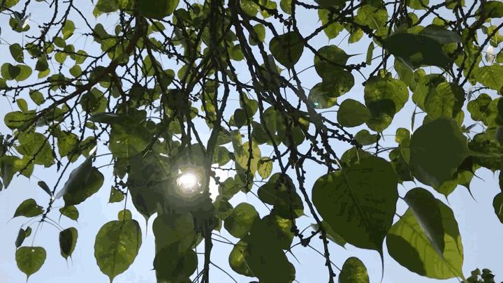 宝安跑步最佳地点,深圳宝安区跑步最佳地点