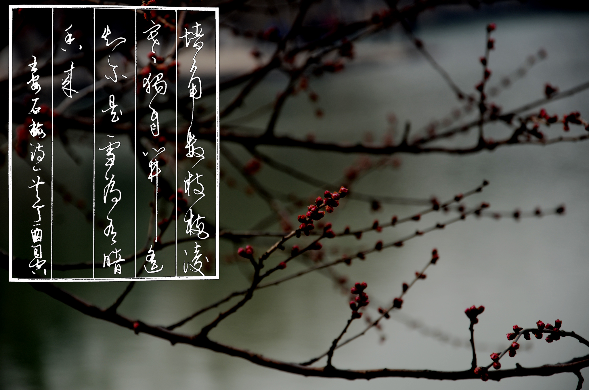 唐诗宋词经典佳句意境,唐诗宋词经典孤帆远影碧空尽