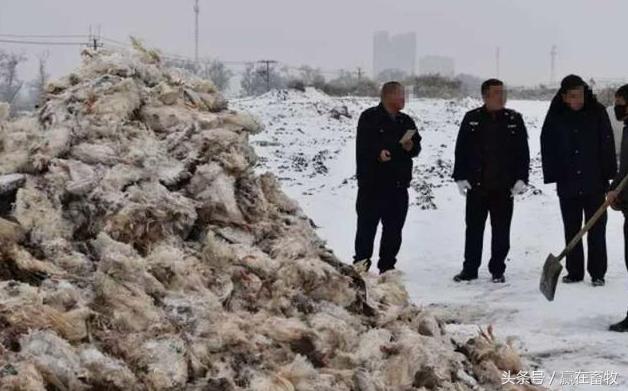 养殖场霉菌毒素注意事项,禽曲霉菌病防治方法