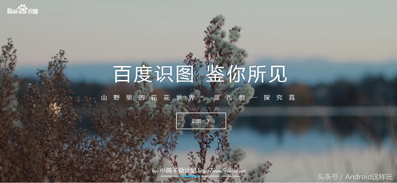 最强大的图片搜索引擎,有图片搜索引擎吗