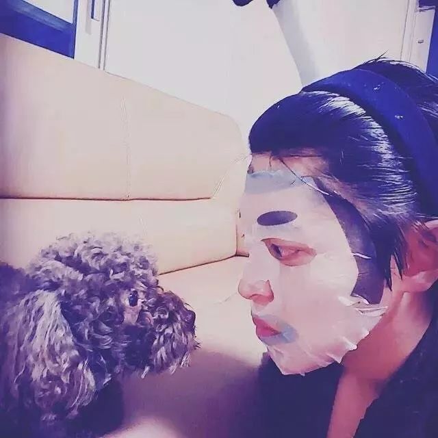 在家敷了片面膜，被狗子看到后，竟被...