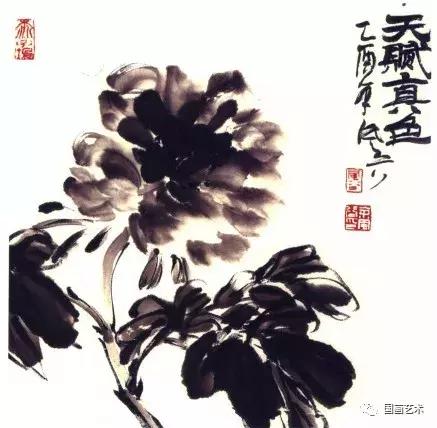 国色天香写意牡丹画,画写意牡丹用什么纸