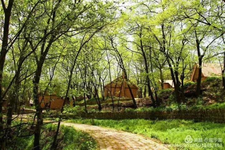 中国天然氧吧为什么是永寿,永寿槐林氧吧