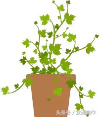 逛吃逛吃一整天,逛吃逛吃花了多少钱