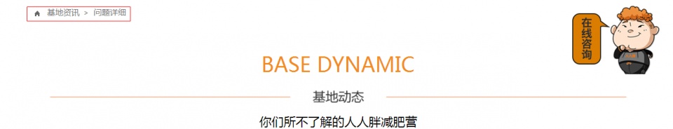 掌握seo技巧打开优化思路,热门seo关键词优化私域流量