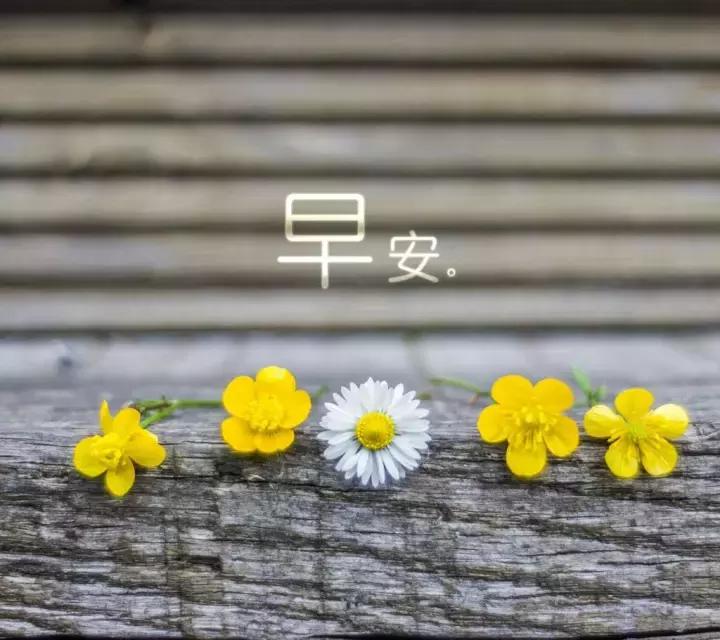 早上好祝福问候语大全简短一点,早上好问候语早安祝福