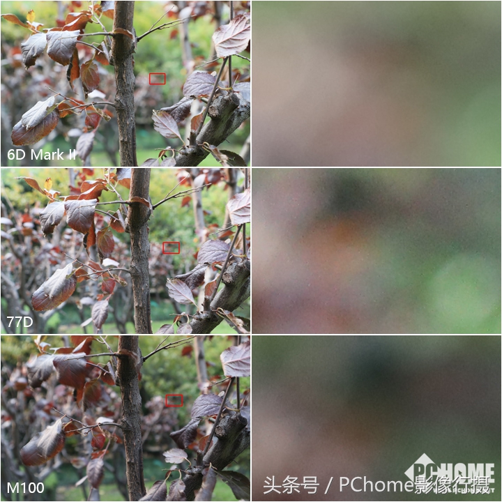 值得入手的数码相机平价佳能,佳能相机测评今年