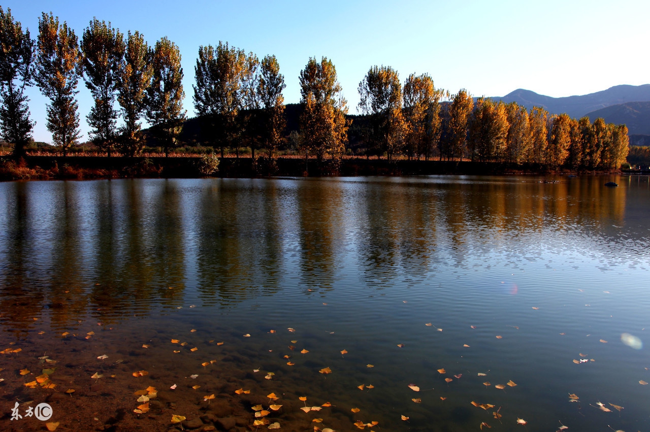 一缕前尘梦徒惹长相思-长相思祝英台近十一阕