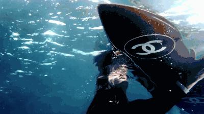 放弃吧|这些大牌周边,想都想不到