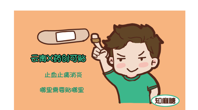 炒鸡必备调料,养鸡必备三种药让你轻松养好鸡