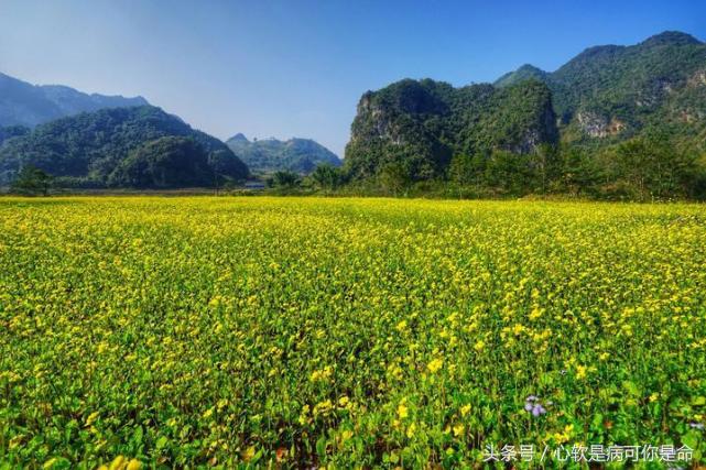 坝美世外桃源简介,坝美世外桃源旅游怎么样