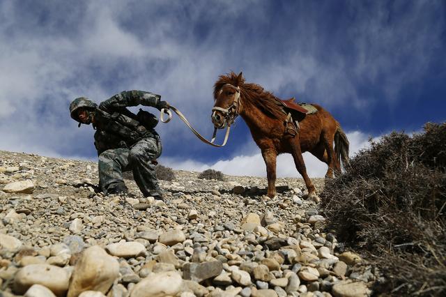 去机关还是当基层领导,待在机关还是去基层