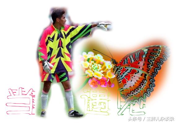 当球星遇到猫咪,当球星遇到自己的名场面