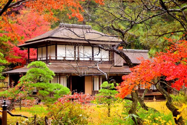 横滨三溪园值得去吗,三溪园景点