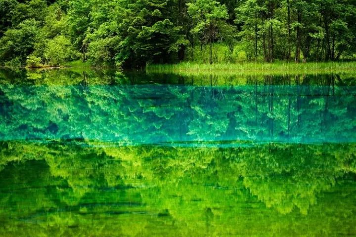 拥有大三元还有必要买镜头吗,有了大三元之后最该买的镜头