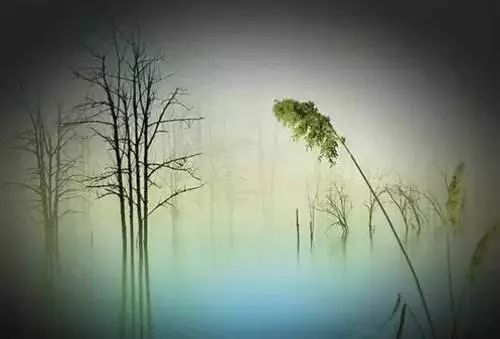 教师的五重境界原文摘抄,教师成长的三个境界