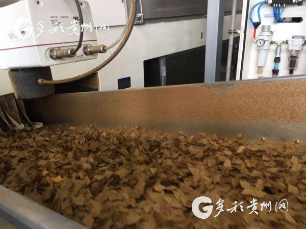 赞!废烟末循环再利用:“纸卷”也能当烟抽