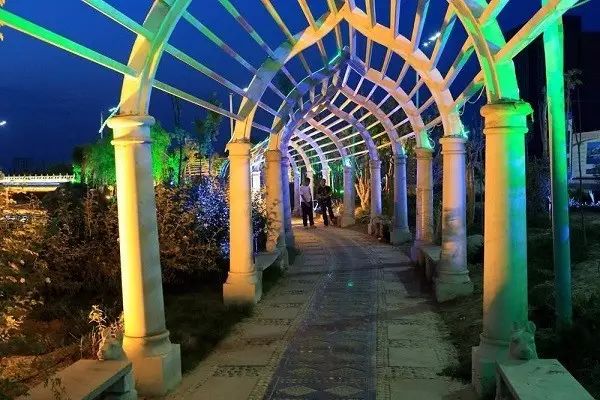 冬天银川一日游必去景点,银川周边一日游最值得玩的地方