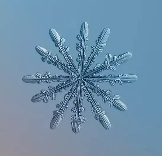 摄影最美人物照片,摄影人的第一张照片