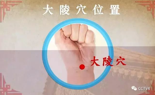 五个动作就瘦全身,五个动作轻松搞定